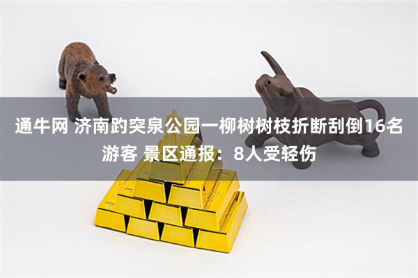通牛网 济南趵突泉公园一柳树树枝折断刮倒16名游客 景区通报：8人受轻伤